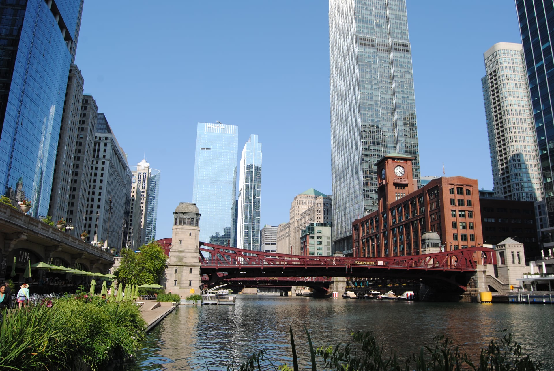 DSC 1556