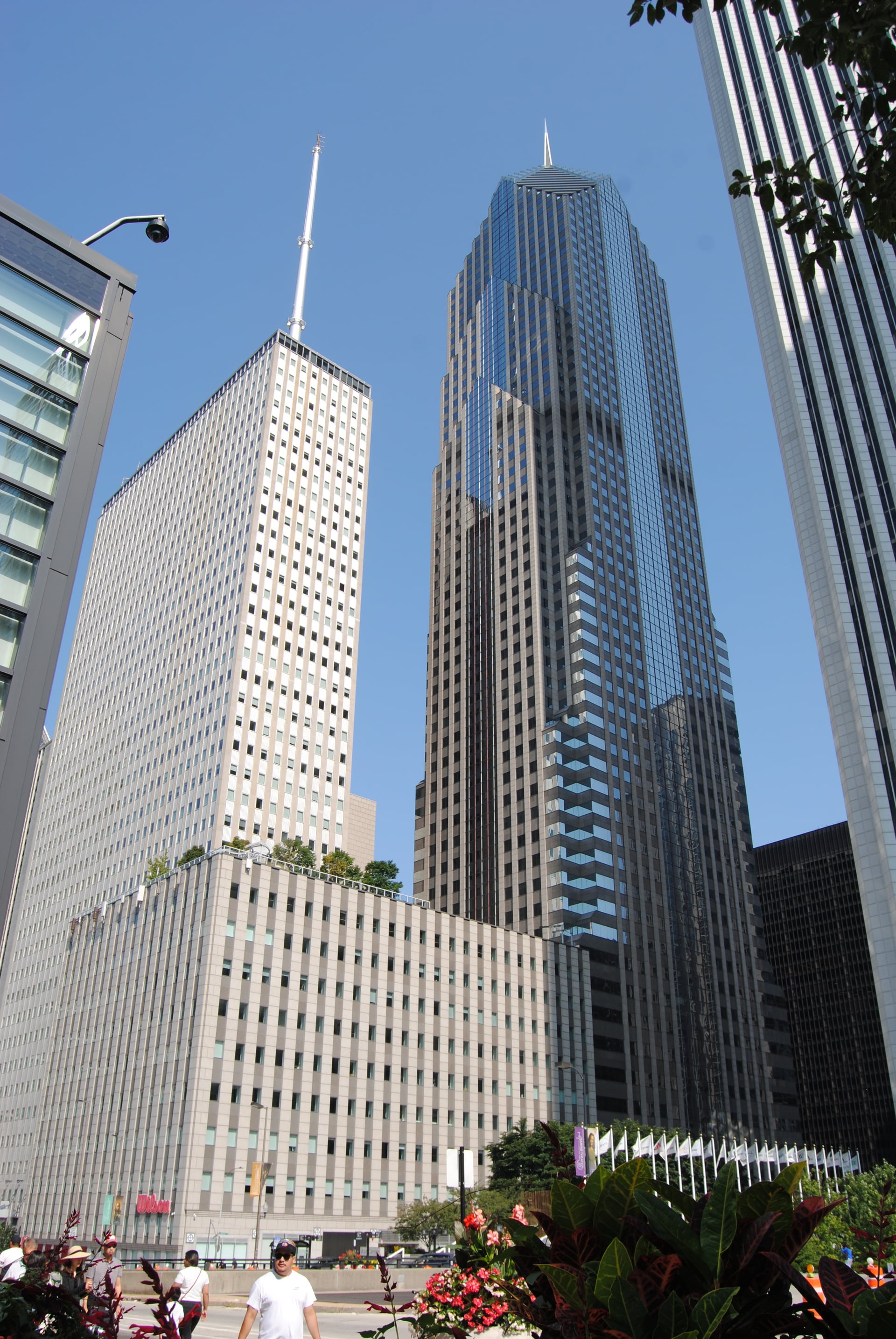 DSC 1558